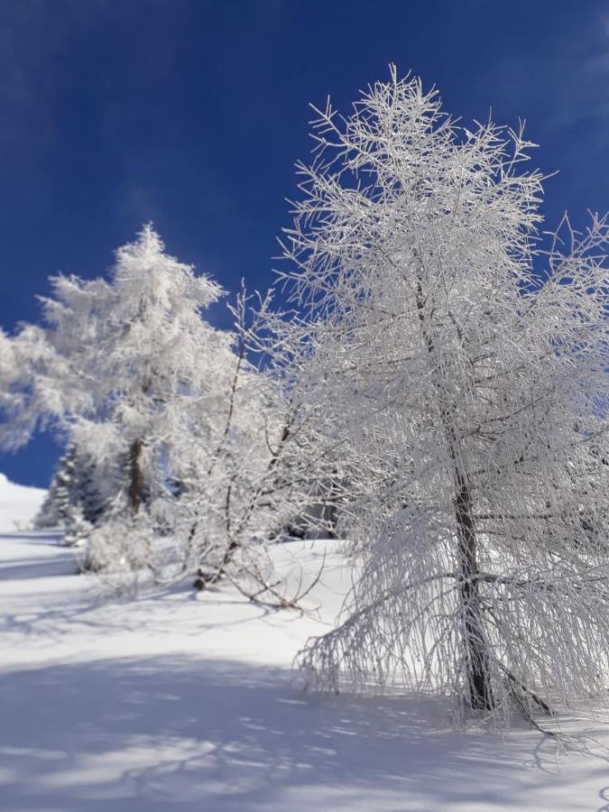 da C I S A Tambre dʼAlpago Exterior foto