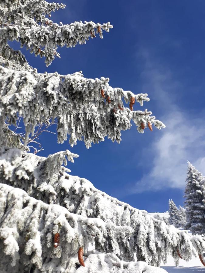 da C I S A Tambre dʼAlpago Exterior foto